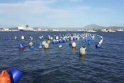 Nave-cargo incagliata a Olbia, a rischio allevamenti cozze