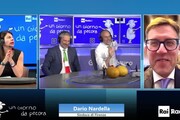 Nardella: 'Se la Fiorentina vince la Conference League mi tingo i capelli di viola'