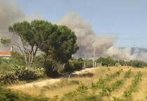 Incendi: fiamme nell'Oristanese