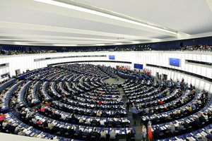 Sessione Plenaria del Parlamento europeo a Strasburgo (ANSA)