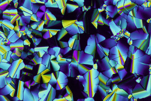 Struttura di cristalli liquidi vista al microscopio (fonte:Paul Hindmarsh e John Goodby,The Liquid Crystal Group, The University of Hull) (ANSA)