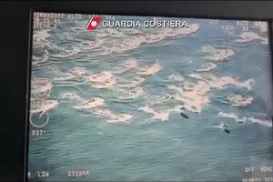 Avvistato branco di delfini al largo di Monopoli (ANSA)