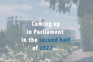 Che cosa c’è in programma in UE per il secondo semestre del 2022? (ANSA)