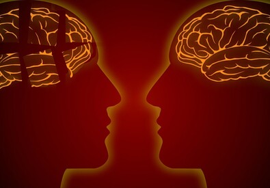 Il cervello dei super-anziani presenta neuroni più grandi (fonte: Pixabay) (ANSA)