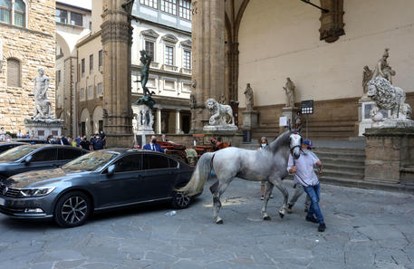 Cavallo si imbizzarrisce, carrozza urta auto Lamorgese © ANSA