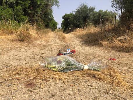Allevatore ucciso a bastonate nel sud Sardegna, due fermi © ANSA