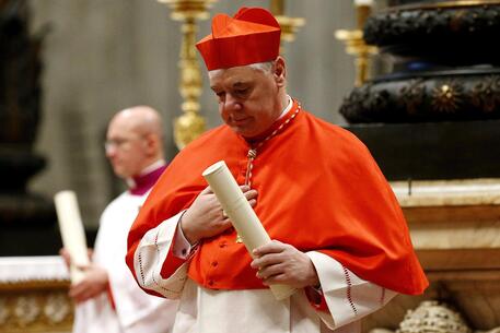 Il Cardinal Muller © ANSA