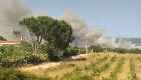 Incendi: fiamme nell'Oristanese (ANSA)