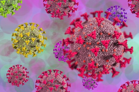 Rappresentazione grafica di particelle del virus SarsCoV2 (fonte: Pixabay)