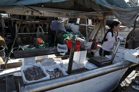 Da sabato 19 fermo pesca in tutto l'Adriatico