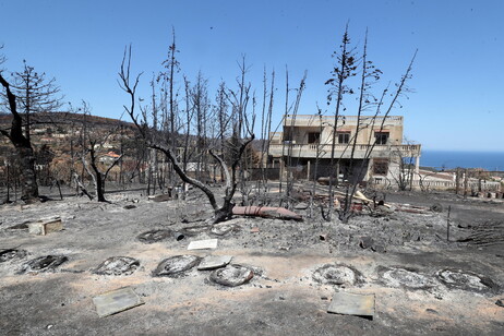 Un'area naturale bruciata dopo un incendio vicino a Melloula in Tunisia