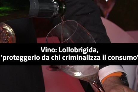Lollobrigida: 'Proteggere il vino da chi ne criminalizza il consumo'