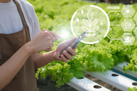 Accordo in Ue sull'etichettatura digitale dei fertilizzanti. Agricoltura foto Natee Meepian via iStock