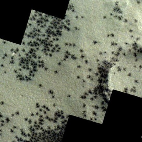 Le esplosioni  che avvengono in primavera sul suolo marziano sembrano piccoli ragni (fonte: ESA/TGO/CaSSIS)