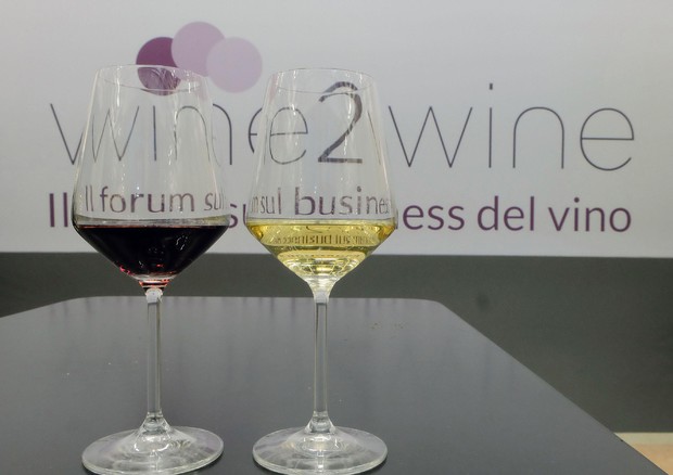 A Wine2wine l'economia del vino, con 100 Cantine OperaWine © ANSA