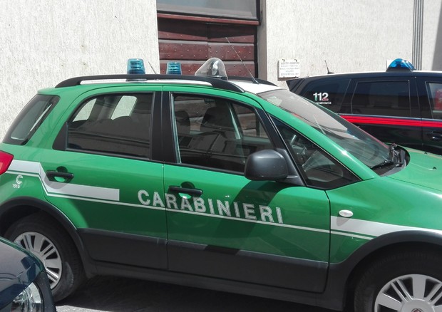 Carabinieri forestali (foto: ANSA)