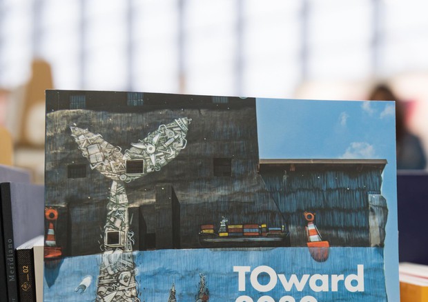 Arte e ambiente, obiettivi Onu per il 2030 diventano murales © ANSA