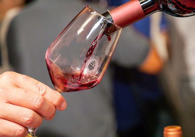 Vino: Primitivo di Manduria per anteprima Wine2Wine a Verona © ANSA