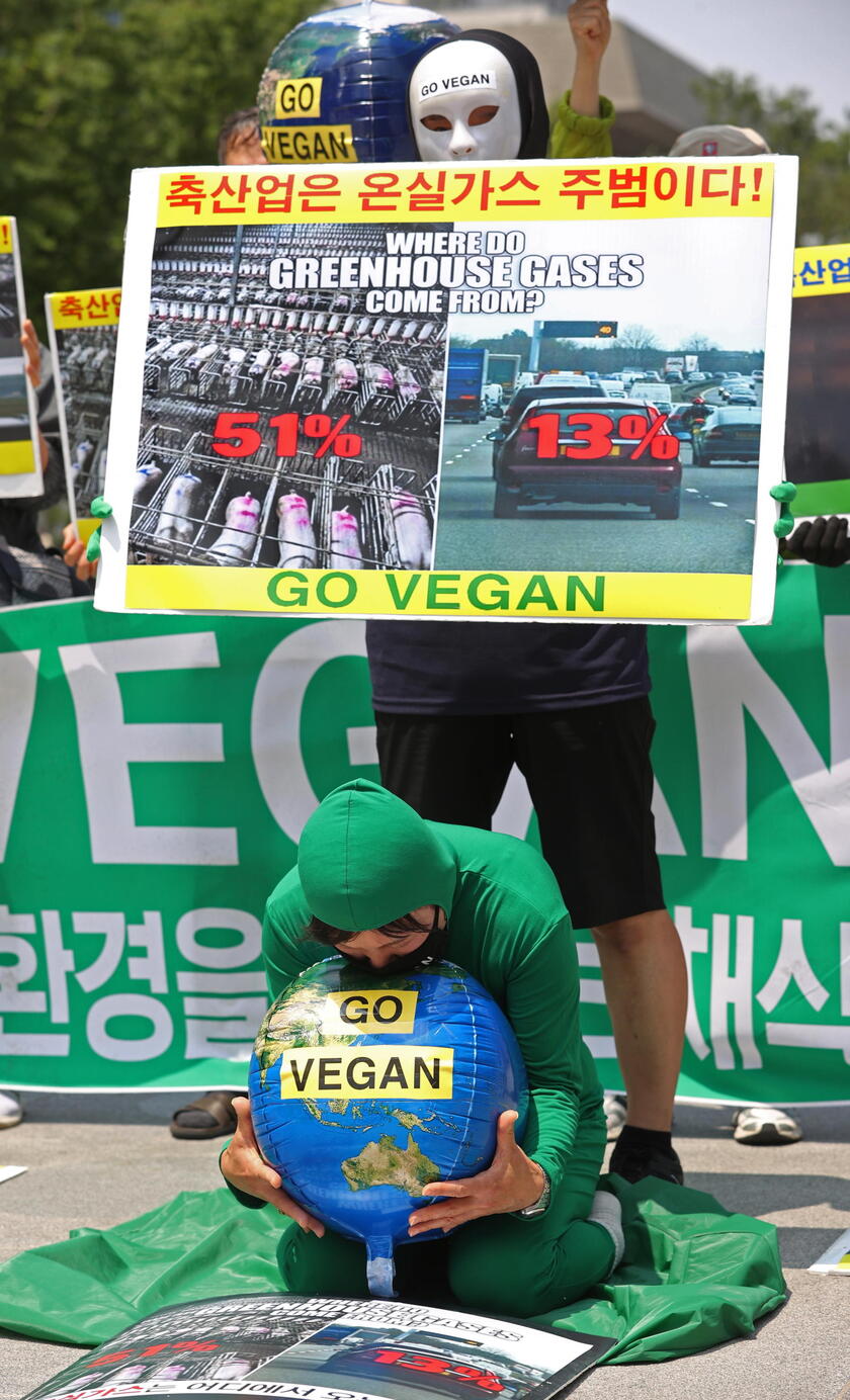 World Environment Day in South Korea © ANSA/EPA