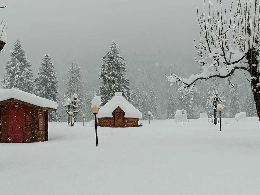 Torna la neve sulle Dolomiti, quasi mezzo metro a Falcade © ANSA