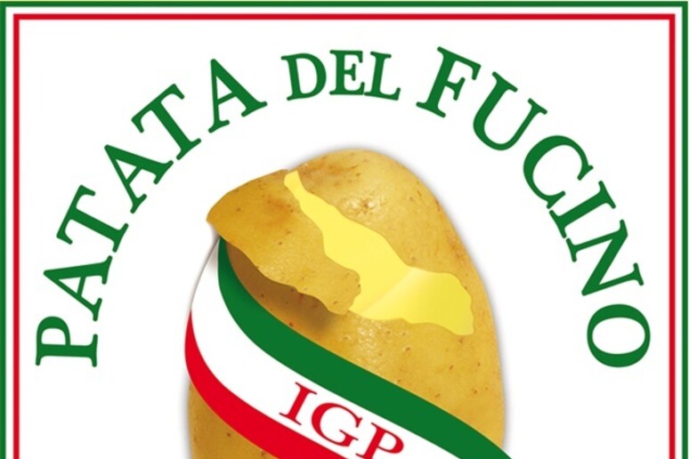 La patata del Fucino ottiene l 'IGP - RIPRODUZIONE RISERVATA