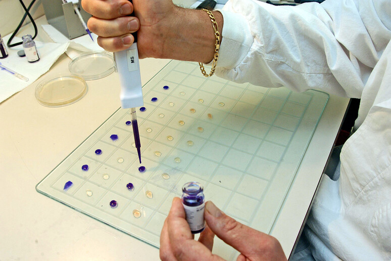 un test in laboratorio per un vaccino - RIPRODUZIONE RISERVATA