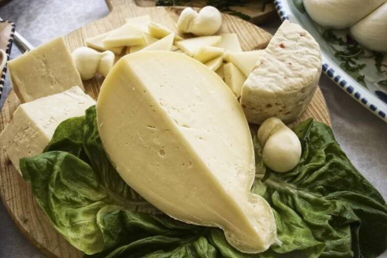 A quota 1 miliardo l 'export dei formaggi italiani in Francia -     RIPRODUZIONE RISERVATA
