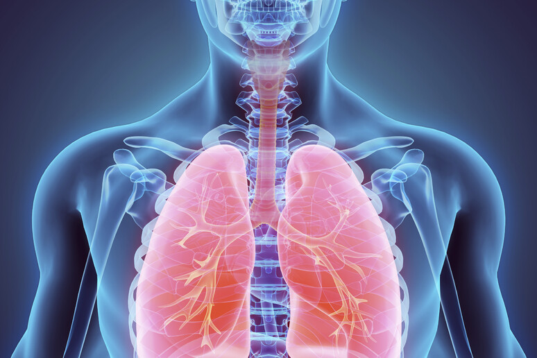Tumore polmone, poco usati test genetici per cure precisione - RIPRODUZIONE RISERVATA