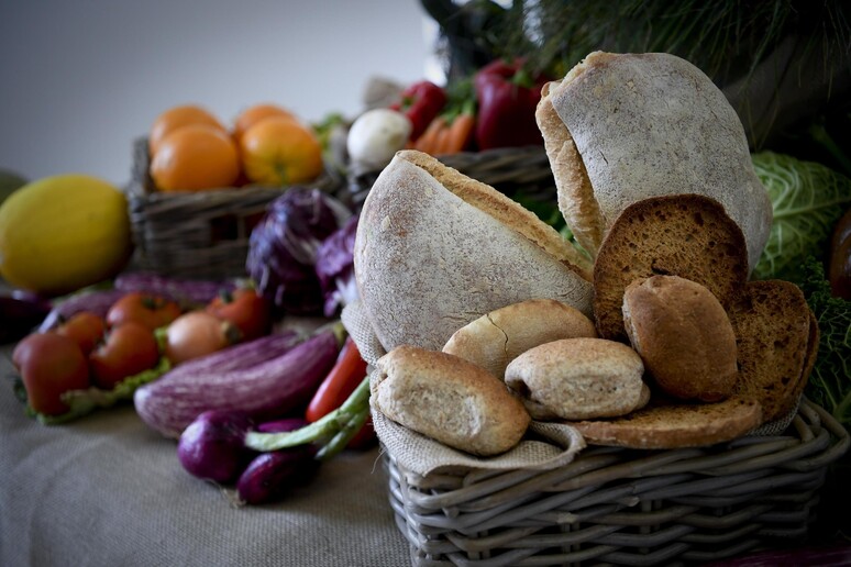 Dieta mediterranea osservata solo dal 43% degli italiani - RIPRODUZIONE RISERVATA