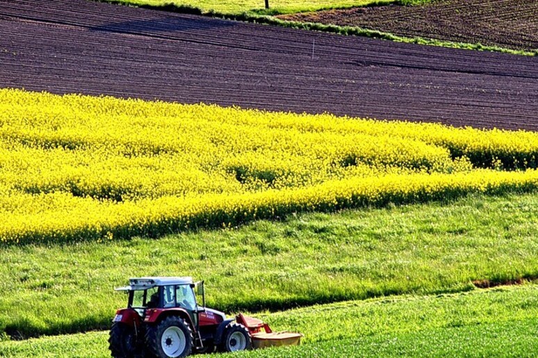 Agricoltura: Ismea, aumenta il valore aggiunto ma calano gli occupati (fonte: Pixabay) - RIPRODUZIONE RISERVATA