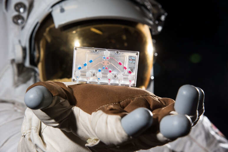 Dispositivi con cellule umane disposte in 3D e della dimensione di una chiavetta Usb (Fonte: NASA) - RIPRODUZIONE RISERVATA