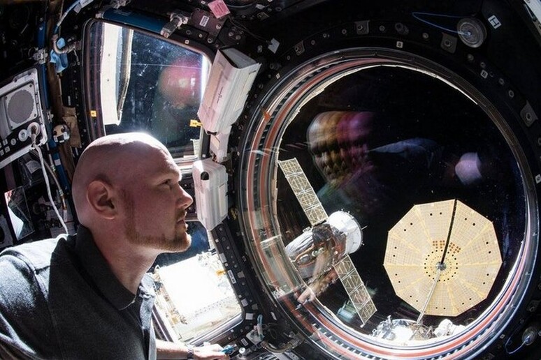 L 'astronauta Alexander Gerst a bordo della Stazione Spaziale Internazionale (fonte: ESA/NASA) - RIPRODUZIONE RISERVATA