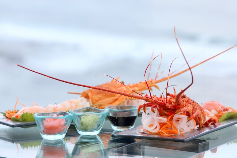 Negli hotel extra lusso scelgono il prelibato crostaceo, tipico del Maine ma pescato anche nel Mediterraneo - RIPRODUZIONE RISERVATA