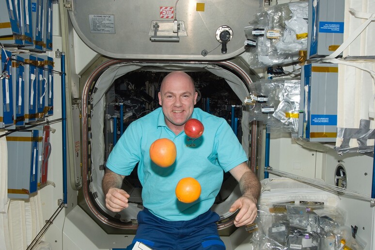 L 'astronauta olandese André Kuipers è stato nello spazio per 204 giorni (fonte: NASA) - RIPRODUZIONE RISERVATA