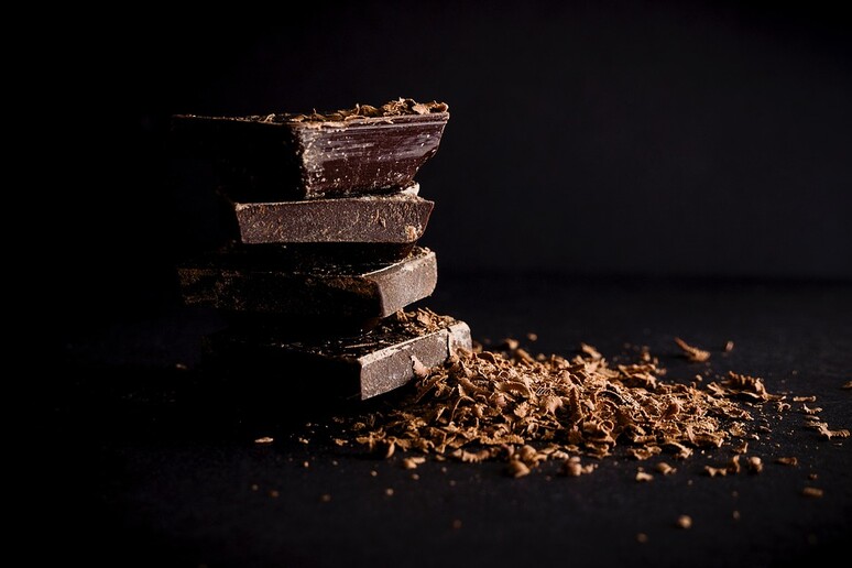 Cioccolato fondente (fonte: Pixabay) - RIPRODUZIONE RISERVATA