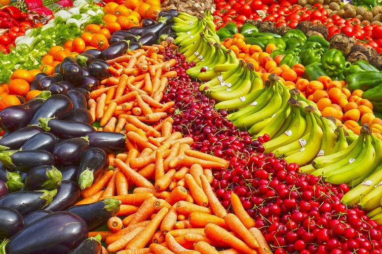 Frutta e verdura (fonte: Pixabay) - RIPRODUZIONE RISERVATA