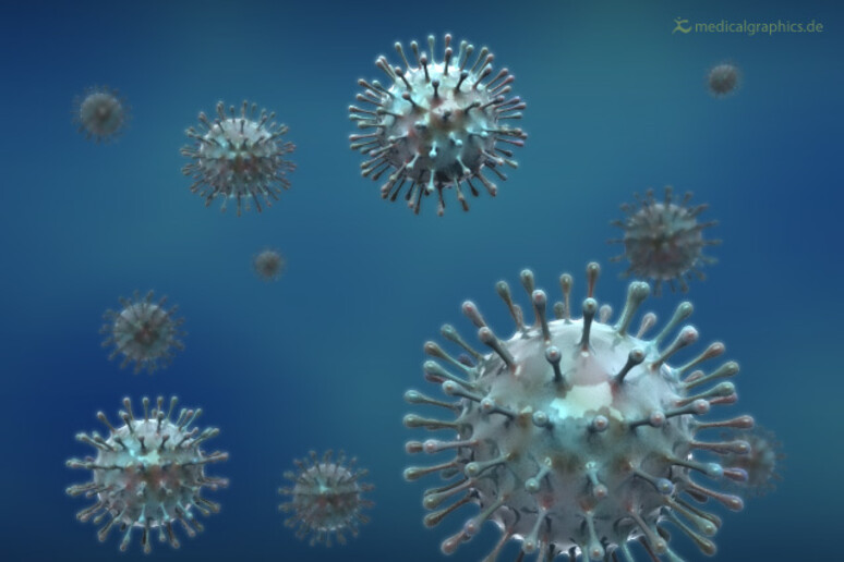 Particelle del virus dell 'influenza (fonte: www.medicalgraphics.de) - RIPRODUZIONE RISERVATA