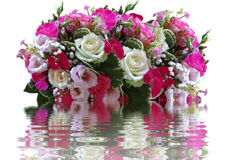 Festa della mamma, 1 italiano su 3 dona fiori o piante (fonte: Pixabay) - RIPRODUZIONE RISERVATA