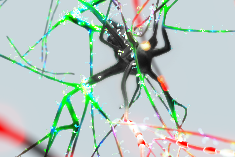 Rappresentazione artistica di neuroni (fonte: BBP/EPFL 2019) - RIPRODUZIONE RISERVATA