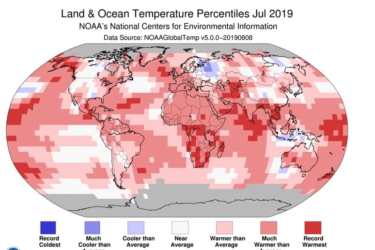 Luglio 2019 è stato il mese più caldo mai registrato nel mondo negli ultimi 140 anni (fonte: NOAA) - RIPRODUZIONE RISERVATA