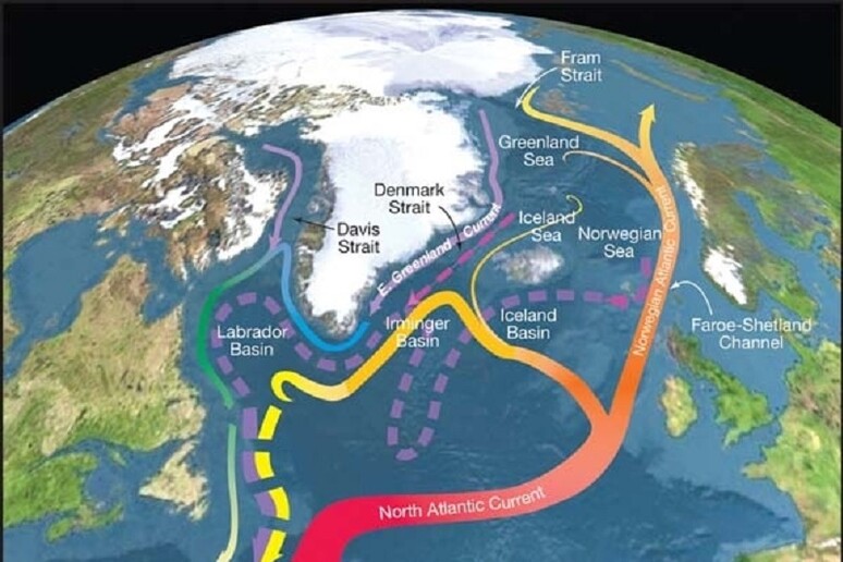 Rappresentazione grafica della Corrente atlantica meridionale (fonte: R. Curry, Woods Hole Oceanographic Institution/Science/USGCRP) - RIPRODUZIONE RISERVATA