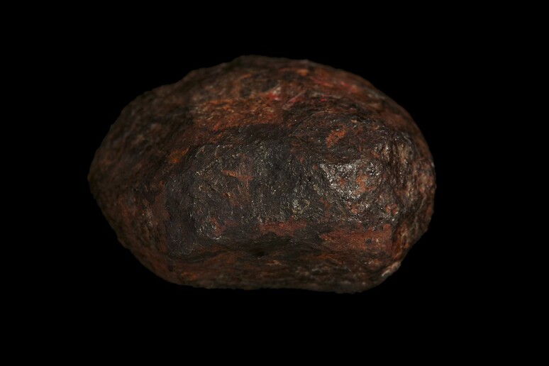 Il meteorite ritrovato nel 1951 vicino alla città australiana di Wedderburn (fonte: Rodney Start, Museums Victoria, CC BY) - RIPRODUZIONE RISERVATA