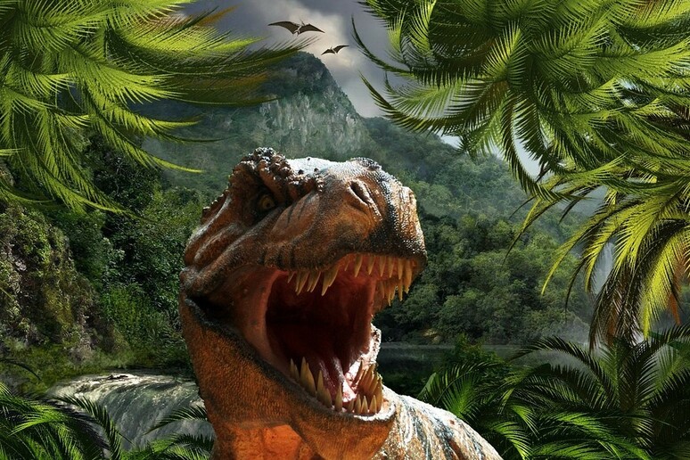 I T-rex raggiungevano l 'età adulta intorno ai 20 anni (fonte: Pixabay) - RIPRODUZIONE RISERVATA