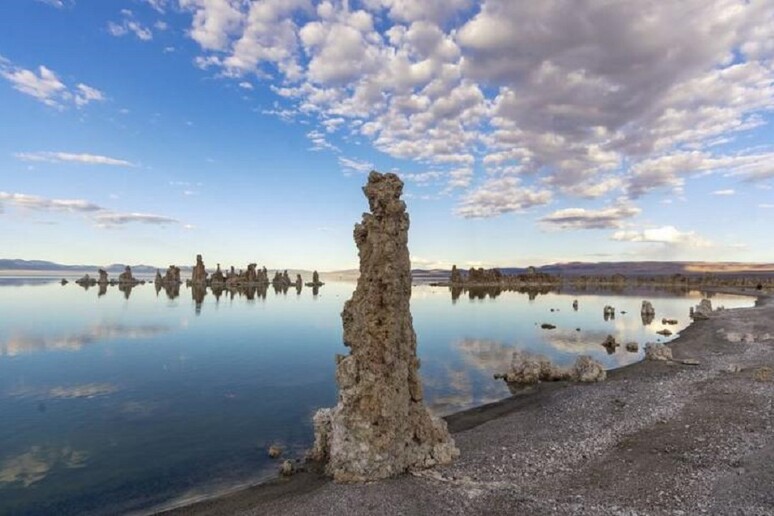 Il Mono Lake, in California, è un lago così ricco di carbonati che questi sali formano delle suggestiva strutture simili a colonne (fonte: Matthew Dillon/Flickr) - RIPRODUZIONE RISERVATA