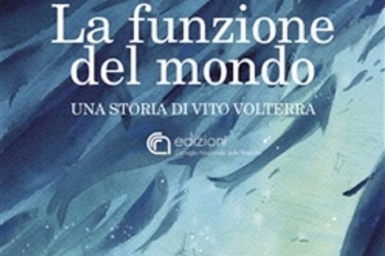 Particolare della copertina del libro a fumetti  'La funzione del mondo. Una storia di Vito Volterra '  (fonte: CNR-Feltrinelli Comics) - RIPRODUZIONE RISERVATA