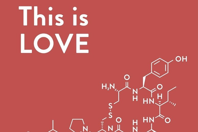 La formula dell 'Ossitocina in un post di Federchimica in occasione di San Valentino - RIPRODUZIONE RISERVATA
