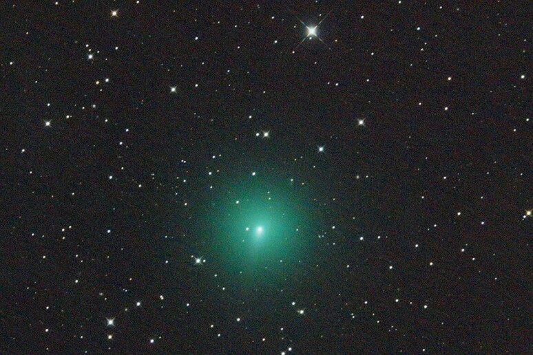 La cometa C/2019 Y4 Atlas sembra essersi spezzata (fonte: Martin Gembec) - RIPRODUZIONE RISERVATA
