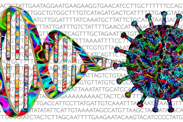 La scoperta di una componente genetica nella Covid-19 aiuta a calibrare la terapia (fonte: Marek Studzinski/Pixabay) - RIPRODUZIONE RISERVATA