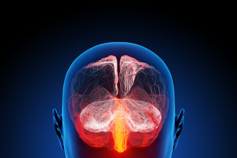Rappresentazione artistica del cervello umano (fonte:  ra2 studio – Fotolia.com da Flickr) - RIPRODUZIONE RISERVATA
