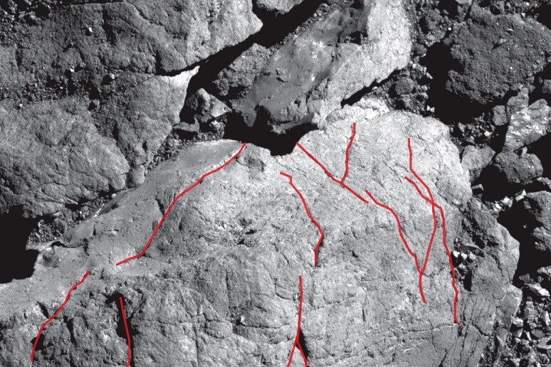 Le crepe superficiali di Bennu riprese da Osiris-Rex (fonte: NASA/Goddard/University of Arizona) - RIPRODUZIONE RISERVATA